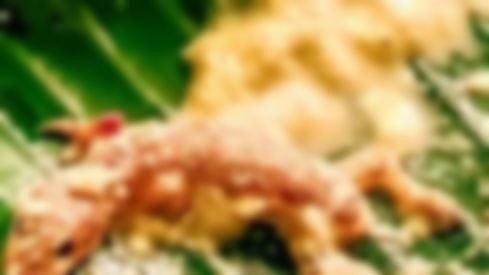 சட்னியில் வெந்து கிடந்த பல்லி.. பிரபல ஹோட்டலில் டிபன் சாப்பிட்டவர்கள் அதிர்ச்சி!