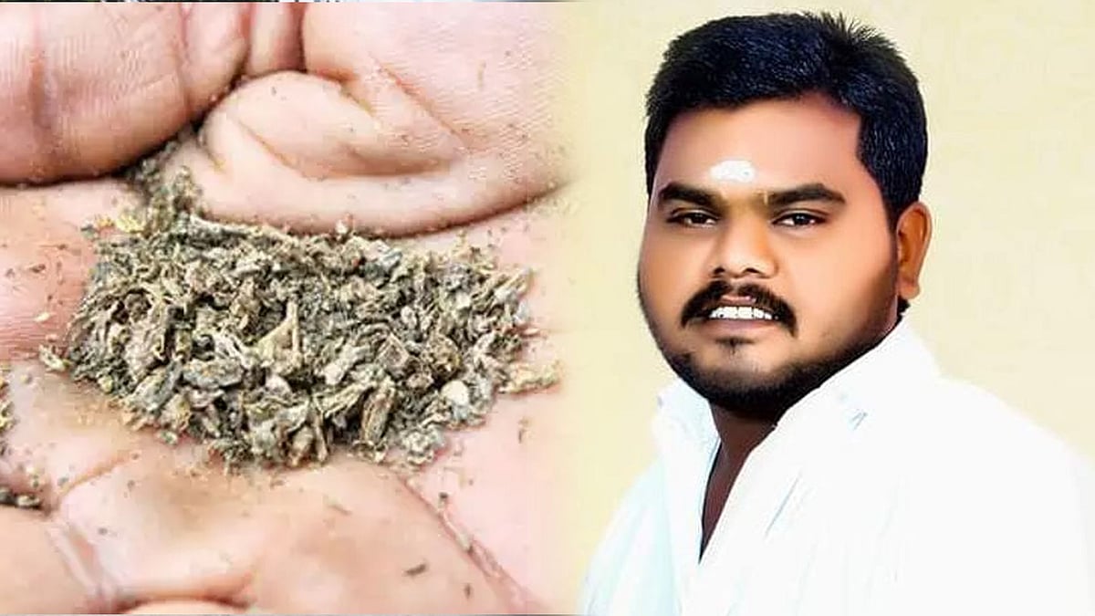 800 கிராம் கஞ்சா வைத்திருந்த அ.தி.மு.க நிர்வாகி.. போலிஸார் ரோந்து பணியின் போது சிக்கியது எப்படி?