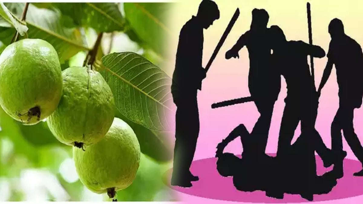 கொய்யாப்பழம் பறித்த பட்டியலின இளைஞர்.. அடித்து கொன்ற கும்பல்.. பாஜக ஆளும் மாநிலத்தில் தொடரும் தீண்டாமை..