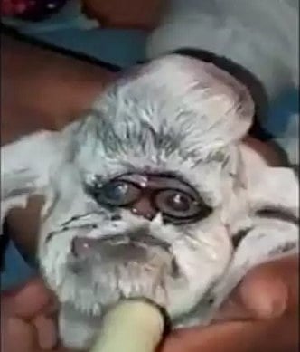 மனித முகத்துடன் பிறந்த ஆட்டுக்குட்டி.. கால்நடை மருத்துவர்கள் கூறும் காரணம் என்ன?