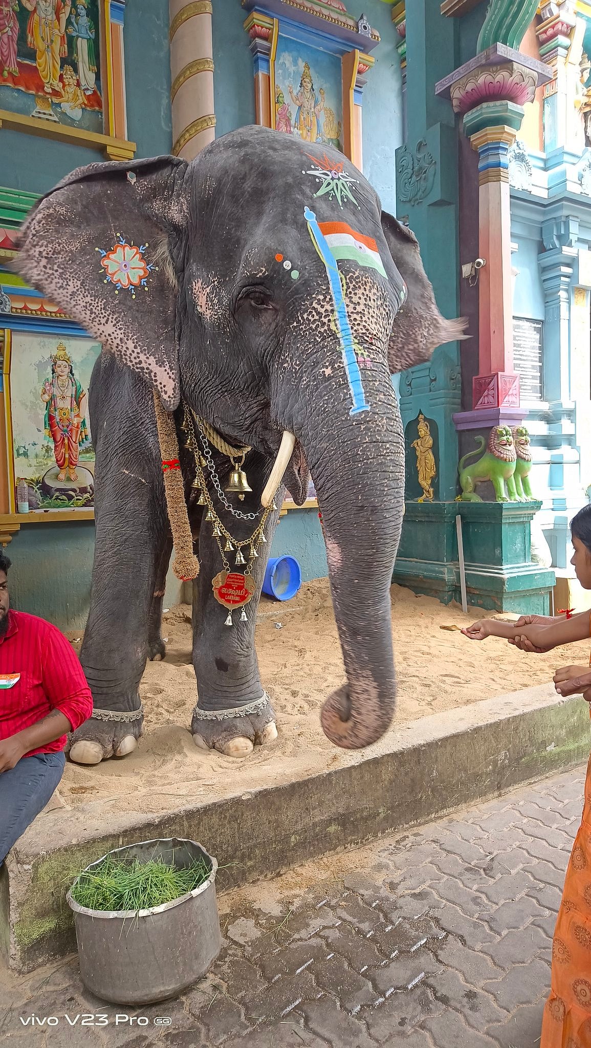 “நடைபயிற்சிக்கு செல்லும் போது சுருண்டு விழுந்து உயிரிழந்த கோவில் யானை”: கண்ணீர் மல்க மக்கள் அஞ்சலி! Video