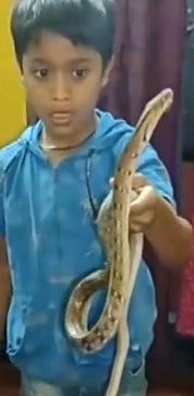 'பயமா எனக்கா'.. வீட்டிற்குள் புகுந்த பாம்பை  அசால்ட்டாக டப்பாவில் அடைத்த 9 வயது சிறுவன்!