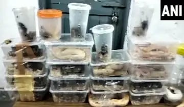 ரயில் பெட்டியில் 28 நாகபாம்புகள்.. சாமர்த்தியமாக செயல்பட்ட பயணிகள்.. ஜார்க்கண்ட்டில் அதிர்ச்சி !