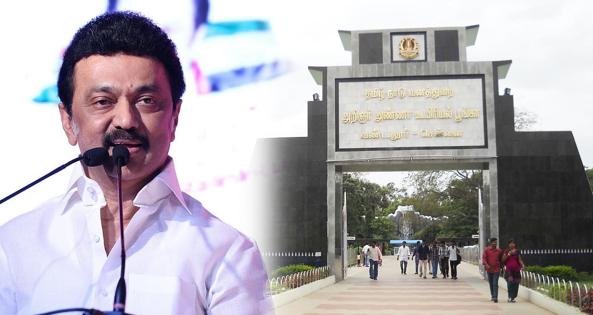 “உலகத் தரம் வாய்ந்த பூங்காக்களில் ஒன்று.. வண்டலூர் பூங்கா முதலிடம்” : நெகிழ்ந்த முதல்வர் மு.க.ஸ்டாலின்!