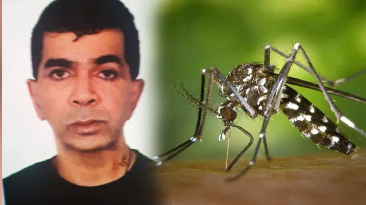 ரௌடிகளை பதம் பார்த்த கொசுக்கள்.. பாட்டிலுடன் நீதிமன்றத்தில் கெஞ்சிய பிரபல ரெளடி :மும்பையில் நடந்தது என்ன?