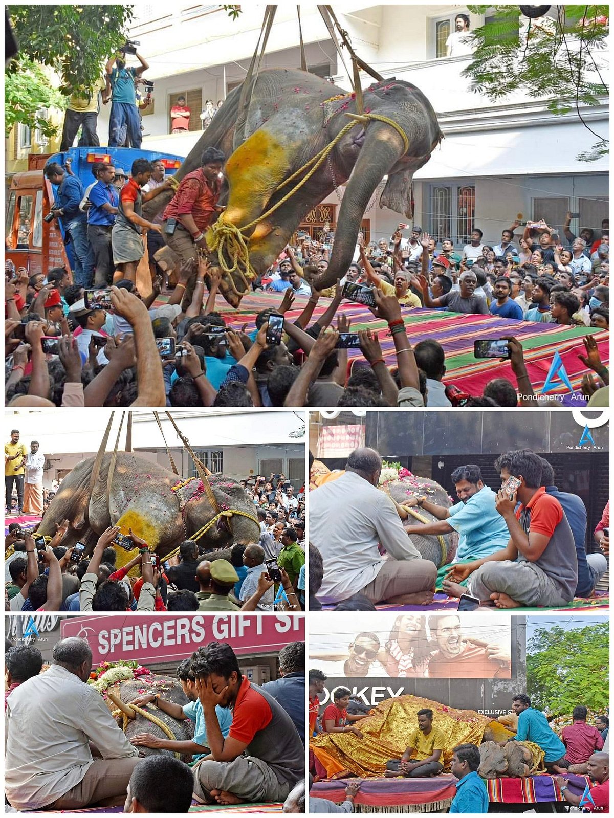 “நடைபயிற்சிக்கு செல்லும் போது சுருண்டு விழுந்து உயிரிழந்த கோவில் யானை”: கண்ணீர் மல்க மக்கள் அஞ்சலி! Video