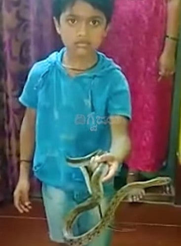 'பயமா எனக்கா'.. வீட்டிற்குள் புகுந்த பாம்பை  அசால்ட்டாக டப்பாவில் அடைத்த 9 வயது சிறுவன்!