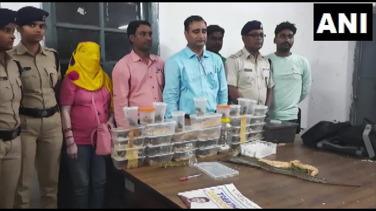 28 வெளிநாட்டு விஷ பாம்புகளை இரயிலில் கடத்திய பெண்.. பிடிபட்டது எப்படி ? - ஜார்கண்டில் பரபரப்பு !