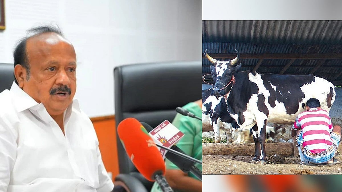 “கறவை மாடு வளர்ப்போருக்கு வட்டியில்லாத கடனுதவி..” : வேளாண்மைத்துறை அமைச்சர் முக்கிய அறிவிப்பு !