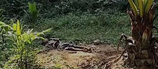 காளான் சமைத்துச் சாப்பிட்ட தந்தை,மகன் உயிரிழப்பு.. அதிர்ச்சியடைந்த உறவினர்கள்: கர்நாடகாவில் சோகம்!