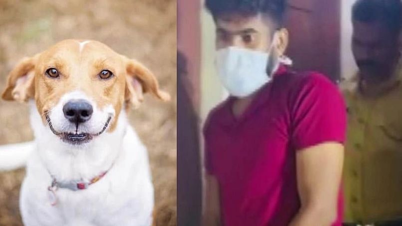 நாய்க்கு உணவு கொடுக்காததால் ஆத்திரம்..  உறவினரை அடித்து கொலை செய்த இளைஞர்: கேரளாவில் அதிர்ச்சி!