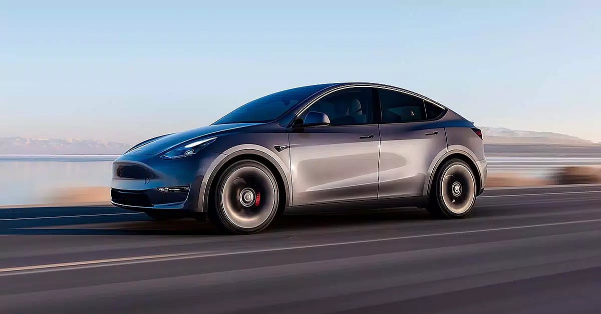 model y