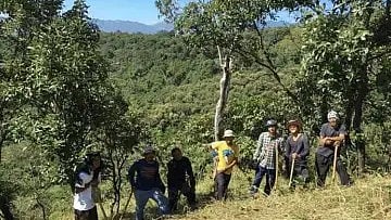300 ஏக்கர் தரிசு நிலத்தை காடாக மாற்றி சாதனை.. தனியொரு இளைஞரின் முயற்சியால் உயிர்பெற்ற காடுகள் !