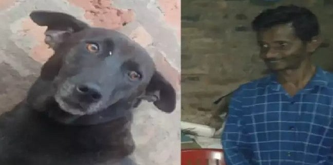 காட்டில் மயங்கி விழுந்து உயிருக்குப் போராடிய நபர்.. குரைத்து உரிமையாளரை காப்பாற்றிய வளர்ப்பு நாய்! 