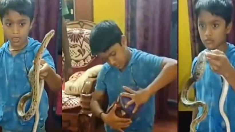 'பயமா எனக்கா'.. வீட்டிற்குள் புகுந்த பாம்பை  அசால்ட்டாக டப்பாவில் அடைத்த 9 வயது சிறுவன்!