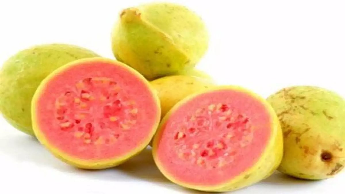 கொய்யாப்பழம் பறித்த பட்டியலின இளைஞர்.. அடித்து கொன்ற கும்பல்.. பாஜக ஆளும் மாநிலத்தில் தொடரும் தீண்டாமை..