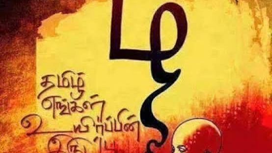 தாய்மொழியினால் என்ன பயன்?.. தமிழ் படிக்க வேண்டிய அவசியம் என்ன? என கேள்வி கேட்பவர்களுக்கான பதில் இதோ!
