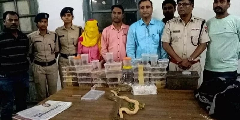 ரயில் பெட்டியில் 28 நாகபாம்புகள்.. சாமர்த்தியமாக செயல்பட்ட பயணிகள்.. ஜார்க்கண்ட்டில் அதிர்ச்சி !  