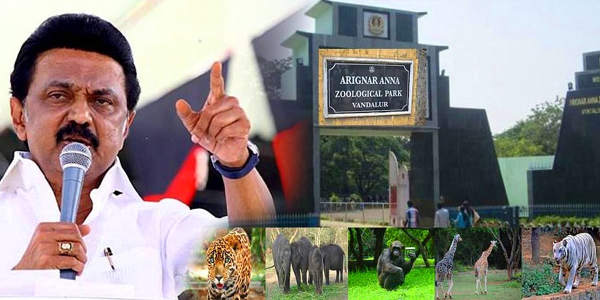 “வன உயிரின - இயற்கை வளங்களைப் பாதுகாப்பதில் தமிழ்நாடு முன்னோடியாக திகழும்” : நம்பிக்கை அளித்த முதல்வர் !