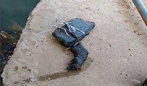 உடற்கூறாய்வுக்கு அனுப்பப்பட்ட எலியின் உடல்.. கொன்றவர் மீது FIR.. உ.பியை விடாமல் துரத்தும் எலி பஞ்சாயத்து!