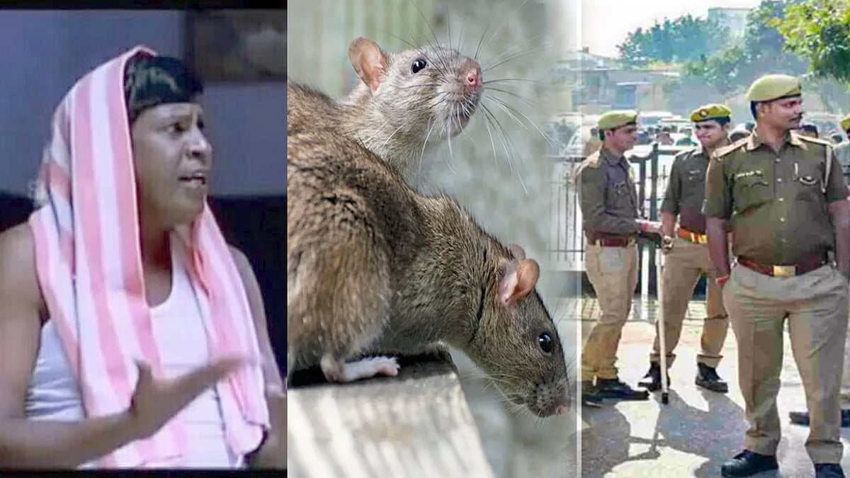 581 கிலோ கஞ்சாவை எலி தின்னுடுச்சு: “உருட்டா இருந்தாலும் ஒரு நியாயம் வேண்டாமா?” -உபி போலிஸ் சொன்ன விளக்கம்