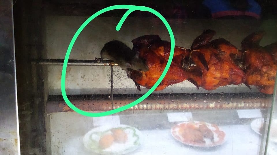 'எனக்கு பசிக்கும் ல'.. பிரபல ஹோட்டலில் கிரில் சிக்கனை ருசி பார்த்த எலி: வாடிக்கையாளர்கள் அதிர்ச்சி!