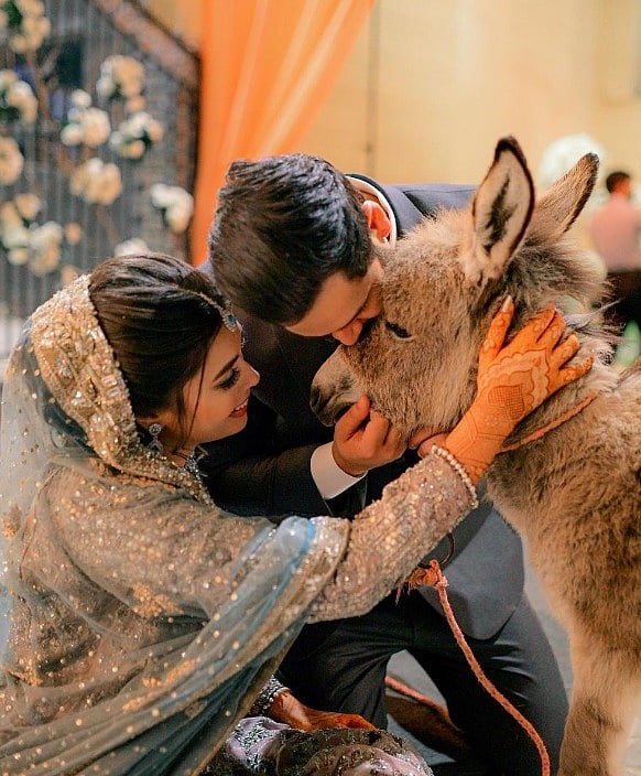 மணமகளுக்கு கழுதையை பரிசளித்த குதிரையில் வந்த மாப்பிள்ளை.. Youtuber செய்த காரியத்தின் பின்னணி என்ன ?