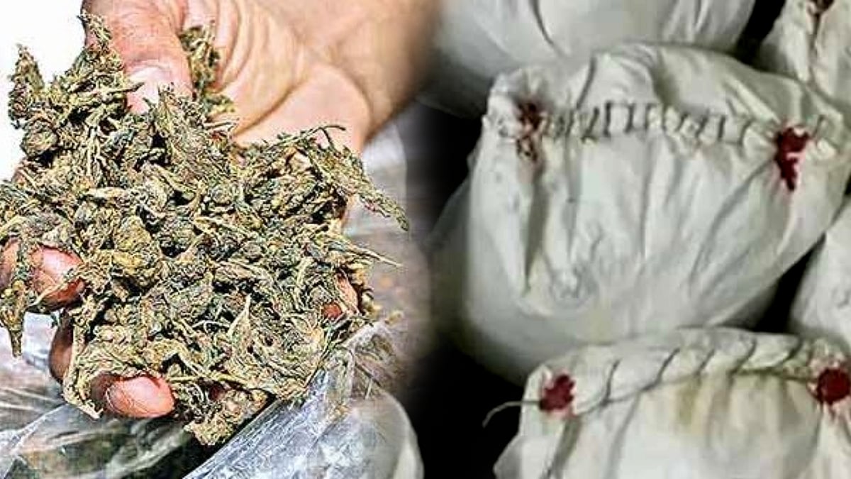 “பறிமுதல், கைது, முடக்கம்..” - தமிழ்நாட்டில் அதிரடியாக நடந்து வரும் ஆபரேஷன் கஞ்சா வேட்டை 3.O !