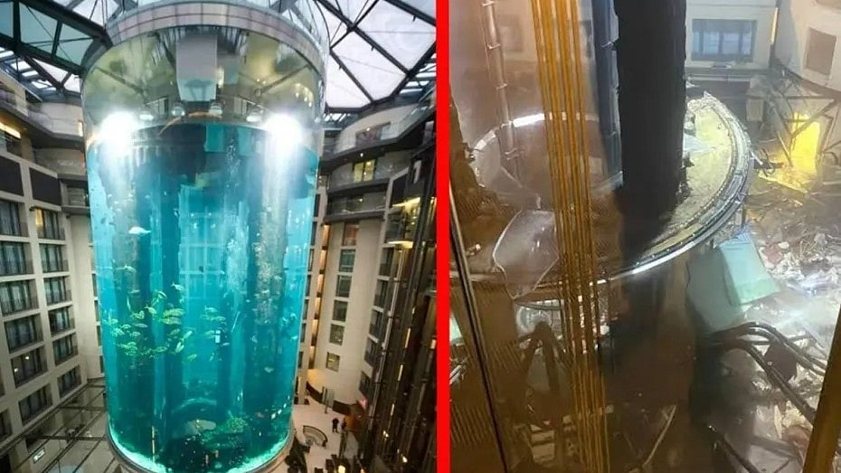 வெடித்து சிதறிய மிகப்பெரிய அக்வாரியம்.. உயிரிழந்த 1,500 மீன்கள்.. வெளியேறிய 1 மில்லியன் லிட்டர் தண்ணீர் !