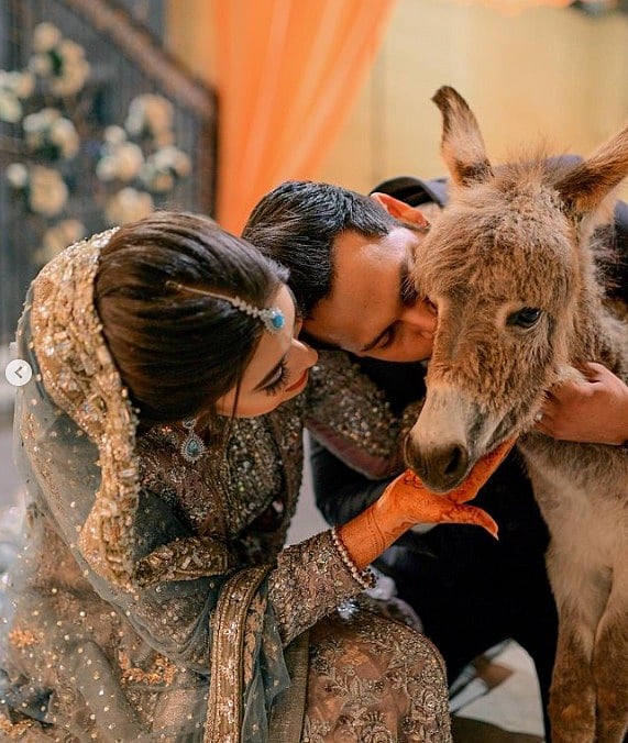 மணமகளுக்கு கழுதையை பரிசளித்த குதிரையில் வந்த மாப்பிள்ளை.. Youtuber செய்த காரியத்தின் பின்னணி என்ன ?