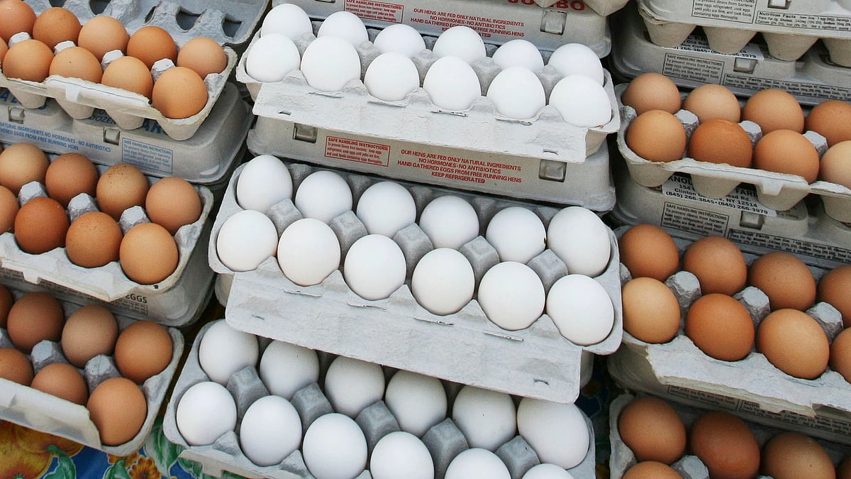 ராணுவ வீரர்களுக்கு கொண்டு சென்ற 4000 முட்டைகள் திருட்டு... ஆட்டோ ஓட்டுநரை தேடி வரும் ம.பி போலிஸ்!