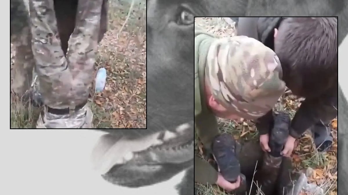 “அந்த மனசு தான் சார்..” -போருக்கு மத்தியில் நாய் குட்டியை காப்பாற்றிய உக்ரைன் வீரர்கள்.. வைரலாகும் VIDEO!