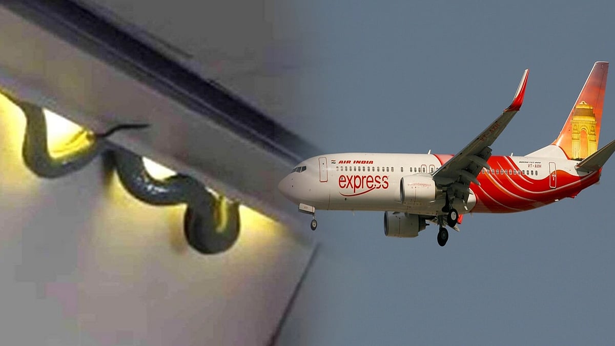 AIR INDIA விமானத்தில் சுற்றித்திரிந்த பாம்பு.. அதிர்ச்சியடைந்த பயணிகள்.. விசாரணைக்கு உத்தரவு !