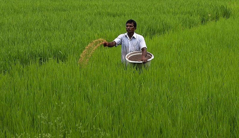 “நஞ்சற்ற வேளாண்மை - மண் வளத்தை பாதுகாக்க Organic Farming Policy வெளியீடு” : முக்கிய அம்சங்கள் என்னென்ன ?