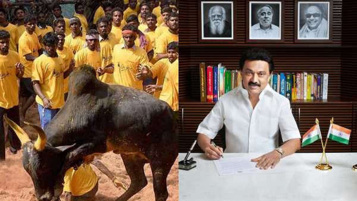 “ஜல்லிக்கட்டு தமிழர்களின் மரபுவழி விளையாட்டு.. அது கலாச்சாரத்தோடு கலந்தது” : PETA-க்கு முரசொலி பதிலடி!