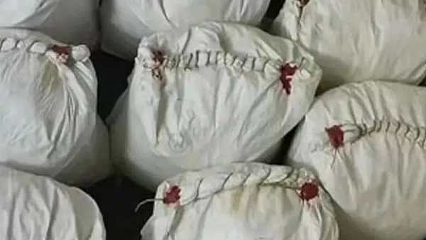 “பறிமுதல், கைது, முடக்கம்..” - தமிழ்நாட்டில் அதிரடியாக நடந்து வரும் ஆபரேஷன் கஞ்சா வேட்டை 3.O !