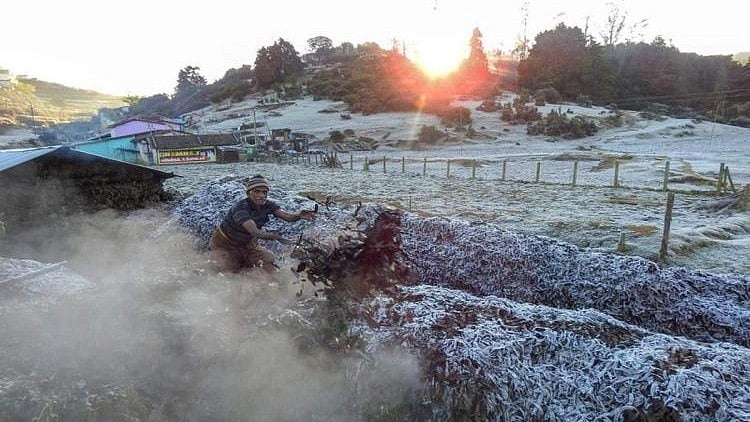 “செம குளிர்.. மினி காஷ்மீர் போல் மாறிய நீலகிரி” : உறைபனி சீசன் தொடங்கியதால் சுற்றுலா பயணிகள் குதூகலம்!