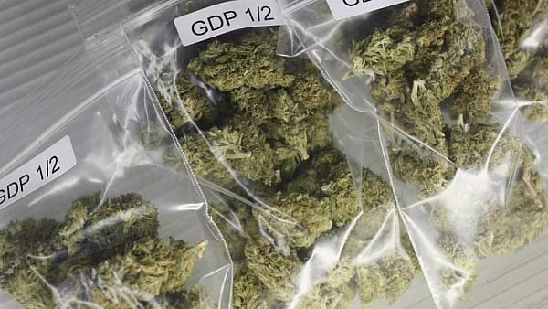 “பறிமுதல், கைது, முடக்கம்..” - தமிழ்நாட்டில் அதிரடியாக நடந்து வரும் ஆபரேஷன் கஞ்சா வேட்டை 3.O !