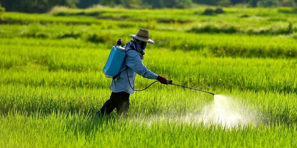 தமிழ்நாட்டில் 6 பூச்சிக்கொல்லி மருந்துகளுக்குத் தடை விதித்து ஏன்?... அமைச்சர் மா.சுப்பிரமணியன் விளக்கம்!