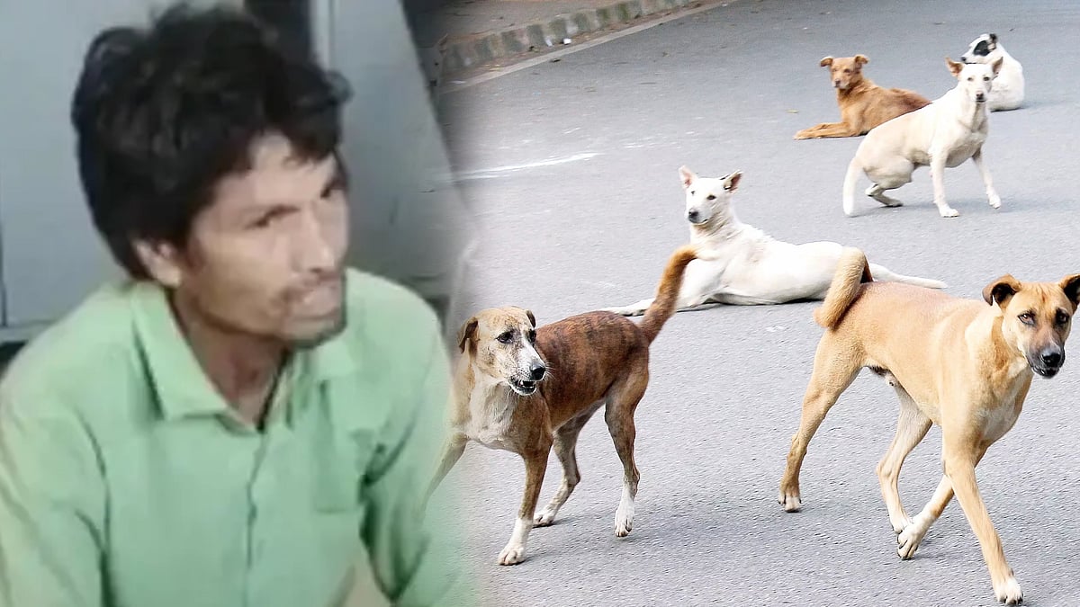 தெருநாயை பாலியல் வன்கொடுமை செய்த நபர்..ஒருநாள் சிறைத்தண்டனை விதித்த போலிஸார்.. மகாராஷ்டிராவில் அதிர்ச்சி!