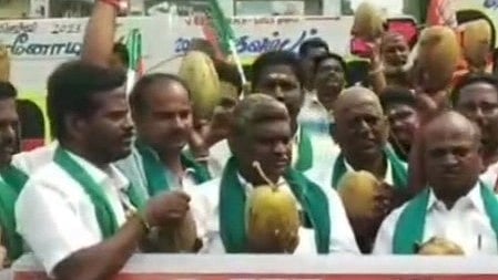 தேங்காயா? இளநீரா?... பாவம் அவங்களே குழம்பிட்டாங்க:  பா.ஜ.க நடத்திய ஆர்ப்பாட்டத்தால் எழுந்த சிரிப்பலை!