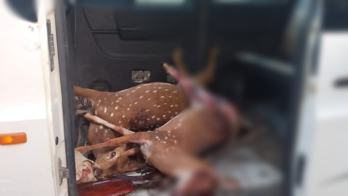 ஆடு திருடும் கும்பலை தேடிய போது மான் வேட்டையில் ஈடுபட்ட 5 பேர் கைது: போலிஸார் எடுத்த அதிரடி நடவடிக்கை!