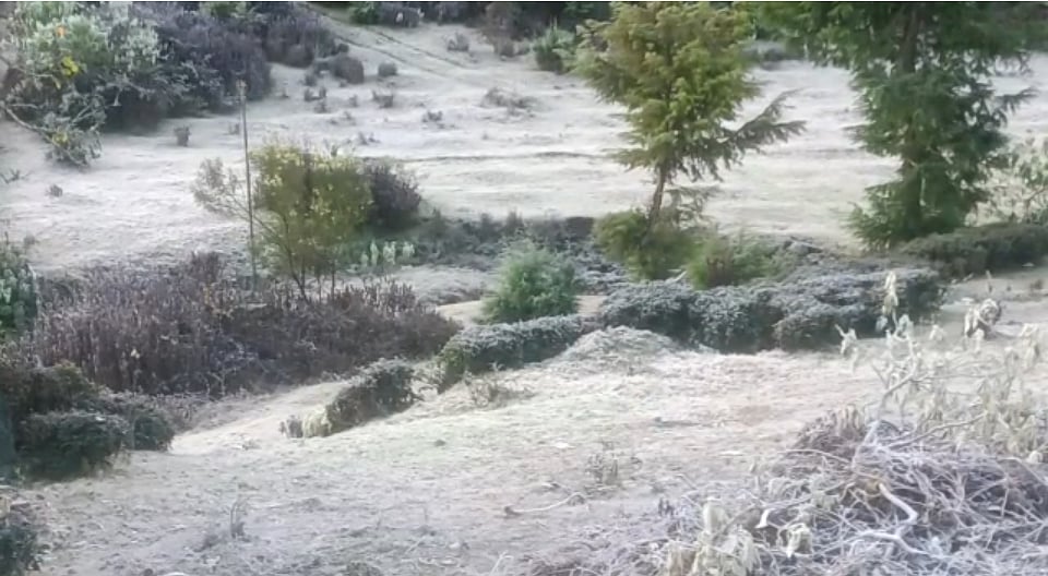 “காஷ்மீர் போகனுமா?.. கவலை வேண்டாம்.. தமிழ்நாட்டின் மினி காஷ்மீர் போங்க” : நடுங்க வைக்கும் உறைபனி!