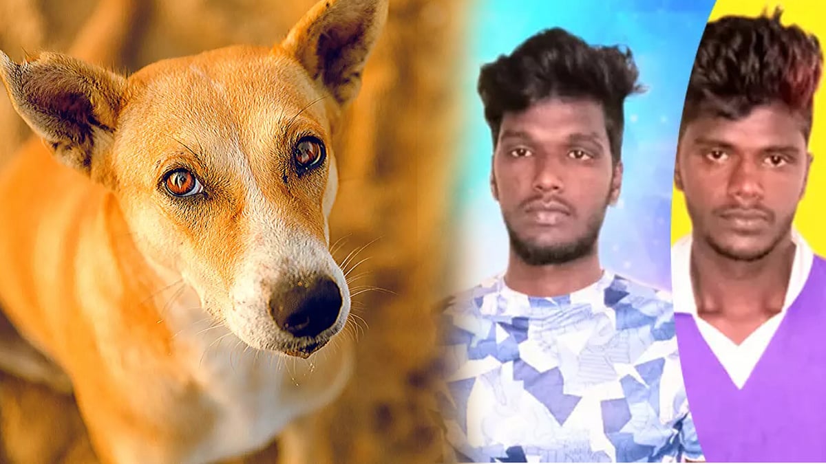 "குழந்தை போல வளர்க்கும் நாயை எப்படி நாய் என்று சொல்லலாம்? " -உறவினர்களால் அடித்துக்கொல்லப்பட்ட விவசாயி !