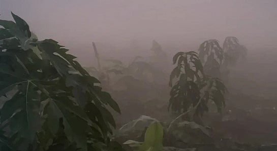 “சுத்தமான காற்று வேணும்னா ரூ.2500 கொடுங்க..” : தாய்லாந்தில் காற்றை சுவாசிக்க காசு வாங்கும் விவசாயி !