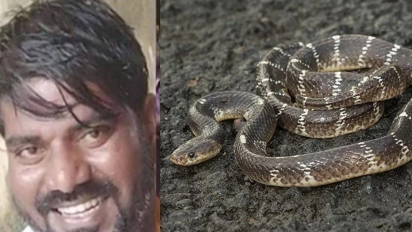 புத்தாண்டு கொண்டாட்டத்தில் விபரீதம்..  பாம்பைப் பிடித்து விளையாடிய வாலிபருக்கு நேர்ந்த துயரம்!