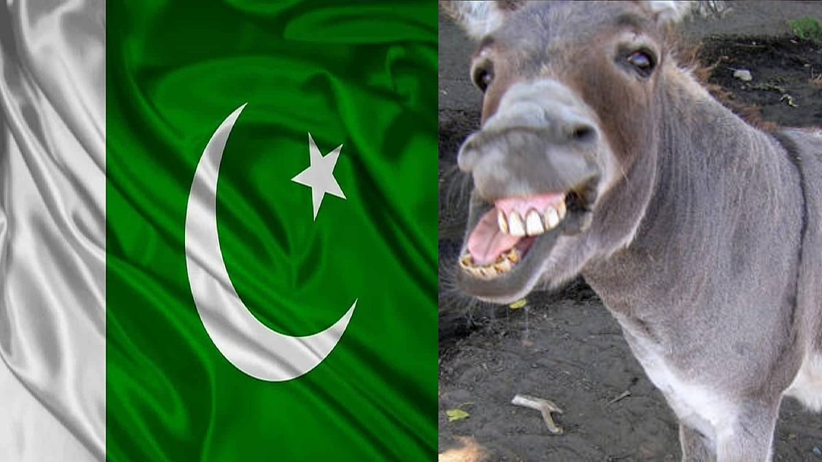 கழுத்தை நெரிக்கும் கடன்.. சீனாவுக்கு கழுதையை விற்று கடனை அடைக்கும் பாகிஸ்தான்.. அடுத்த இலங்கையா ?