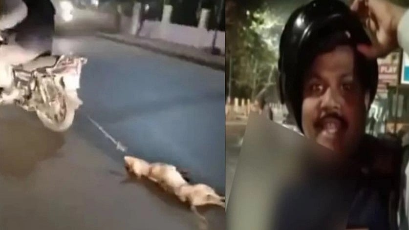 நெஞ்சை உலுக்கும் காட்சி.. நாயை இருசக்கர வாகனத்தில் கட்டி தரதரவென்று இழுத்துச் சென்ற கொடூர நபர்:  video!