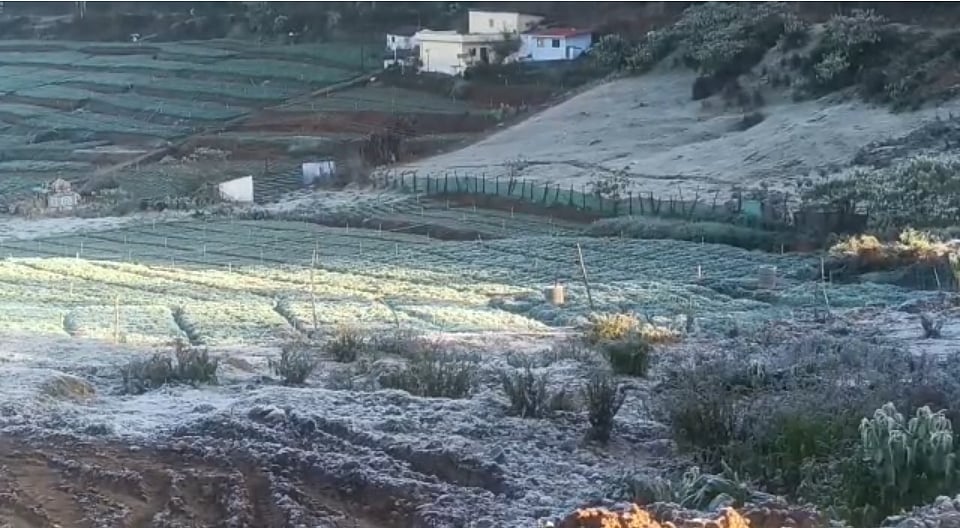 “காஷ்மீர் போகனுமா?.. கவலை வேண்டாம்.. தமிழ்நாட்டின் மினி காஷ்மீர் போங்க” : நடுங்க வைக்கும் உறைபனி!