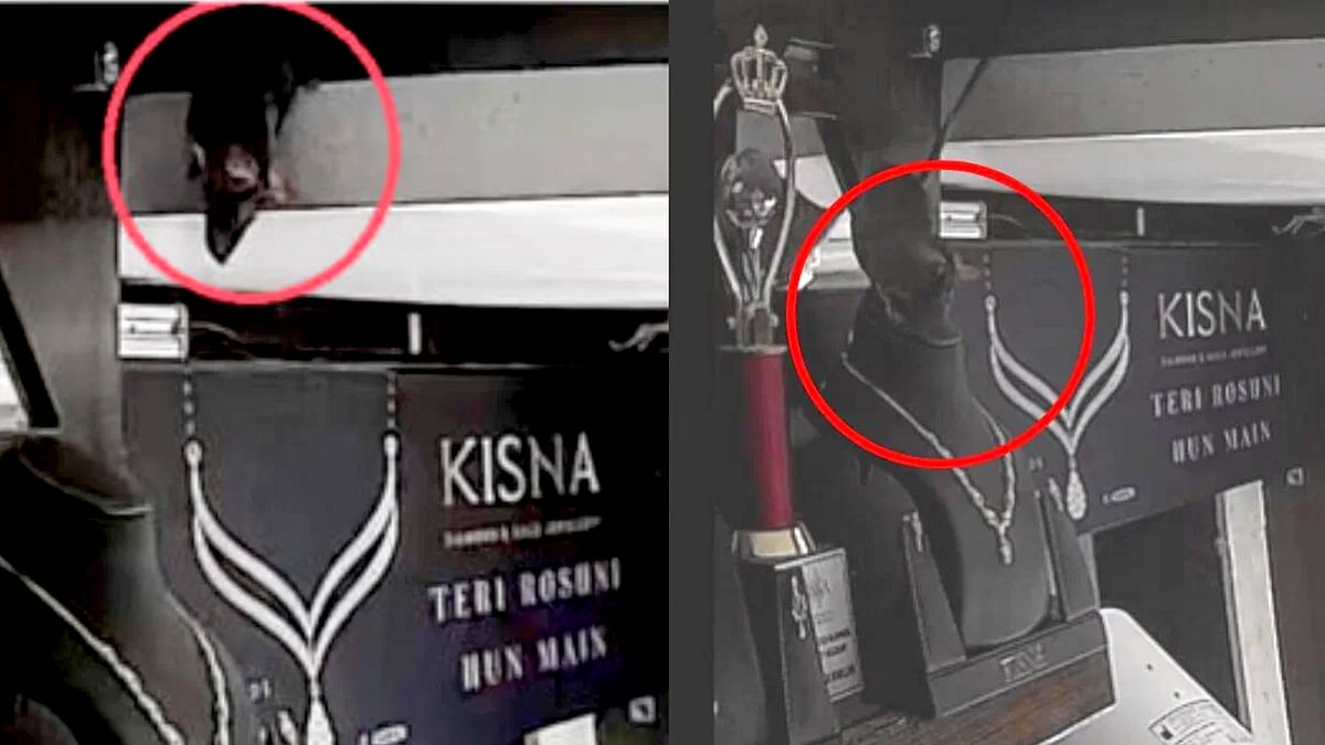 காட்சிக்கு வைக்கப்பட்டிருந்த வைர நெக்லஸ்.. இரவோடு இரவாக திருடி சென்ற எலி.. IPS அதிகாரி வெளியிட்ட VIDEO !